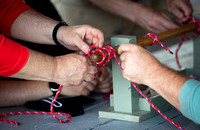 RSCadultsail006